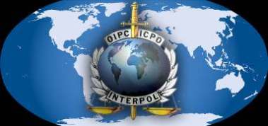 Организованная преступность – главная угроза XXI века - Аналитика - Одесский Политикум
