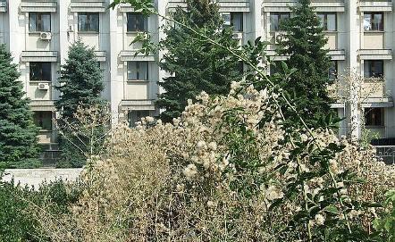 Бардак в парке вокруг резиденции Михаила Саакашвили - Одесский Политикум